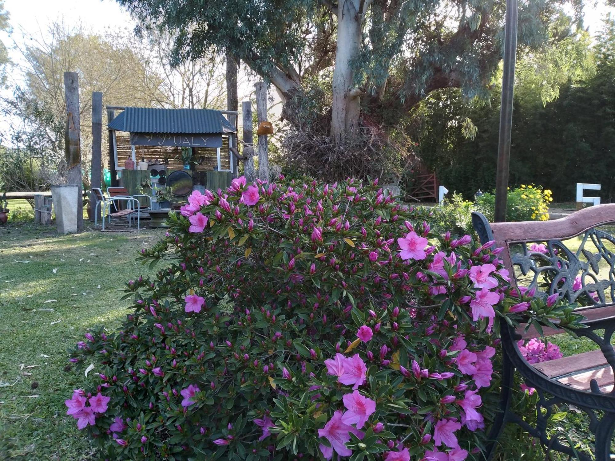 Pualy Resort & Spa Belén de Escobar エクステリア 写真