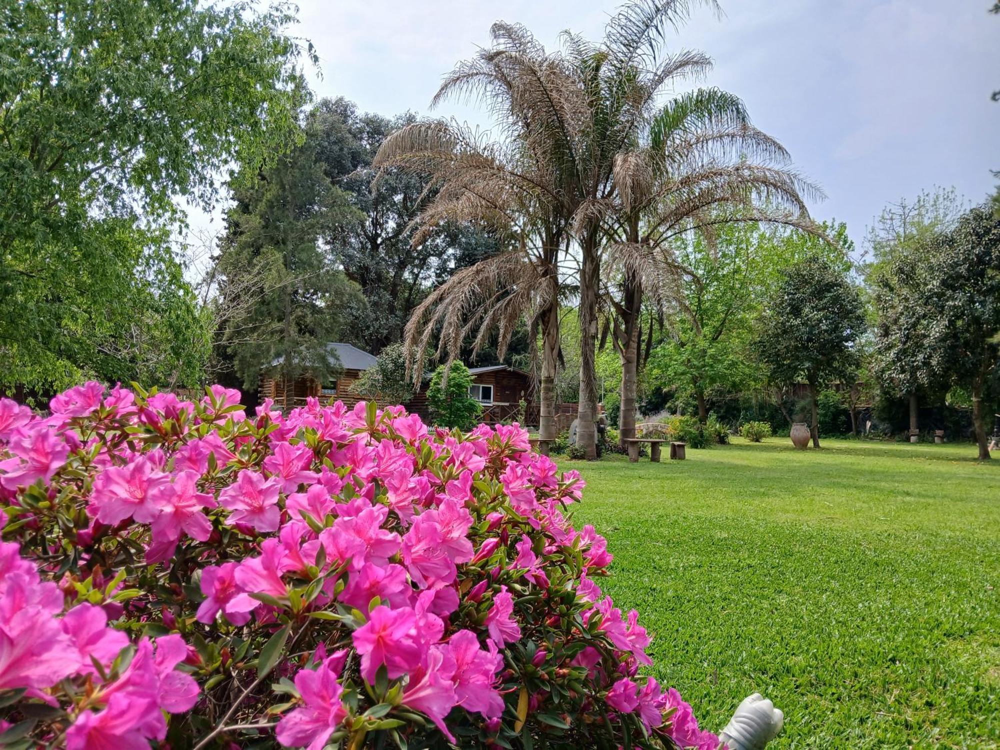 Pualy Resort & Spa Belén de Escobar エクステリア 写真